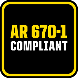 AR 670-1  badge